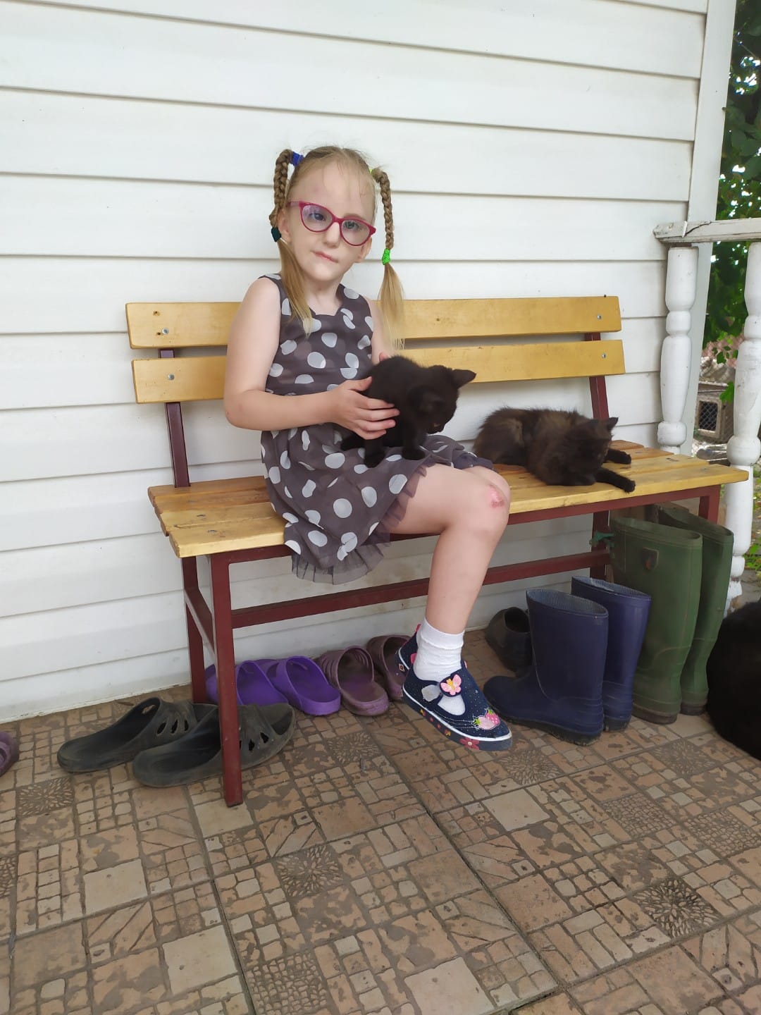 София<br>Мендель